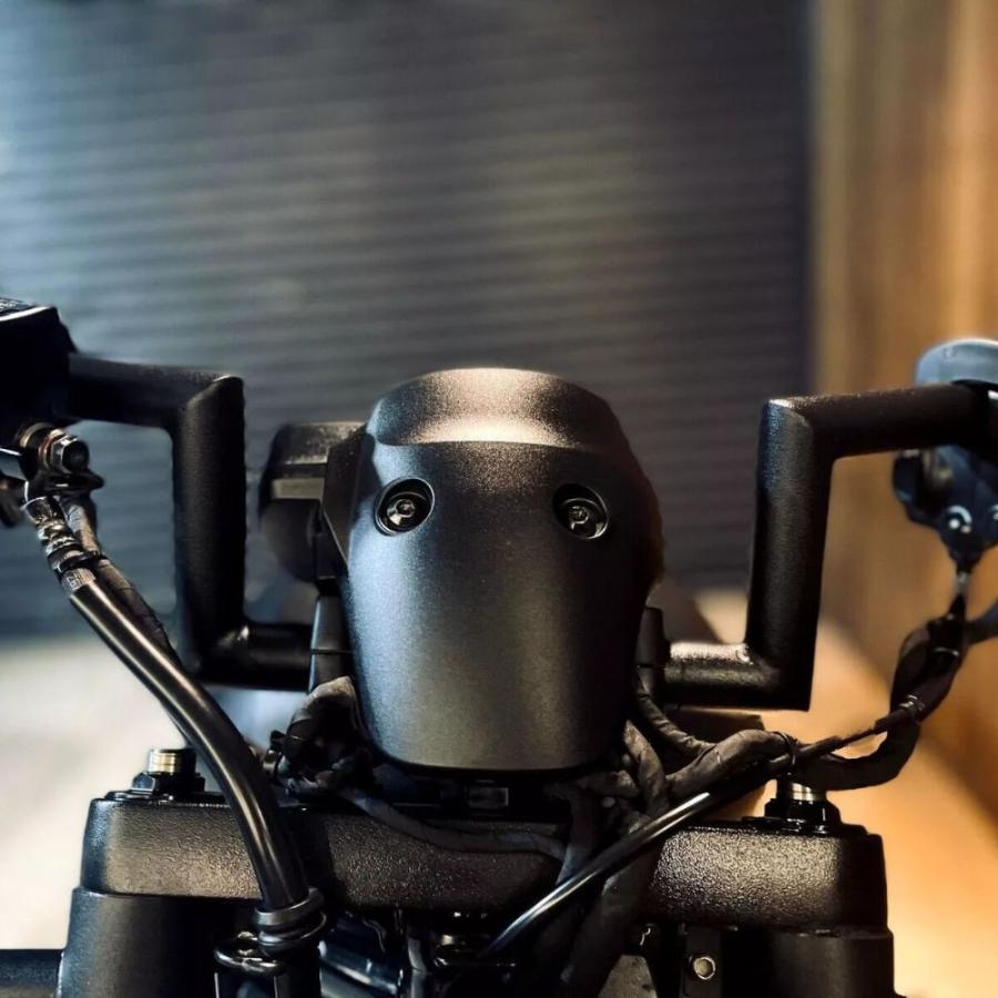 ホンダ（HONDA） *お取り寄せ商品*BLACKWING(旧MAXNUS) Rebel 1100