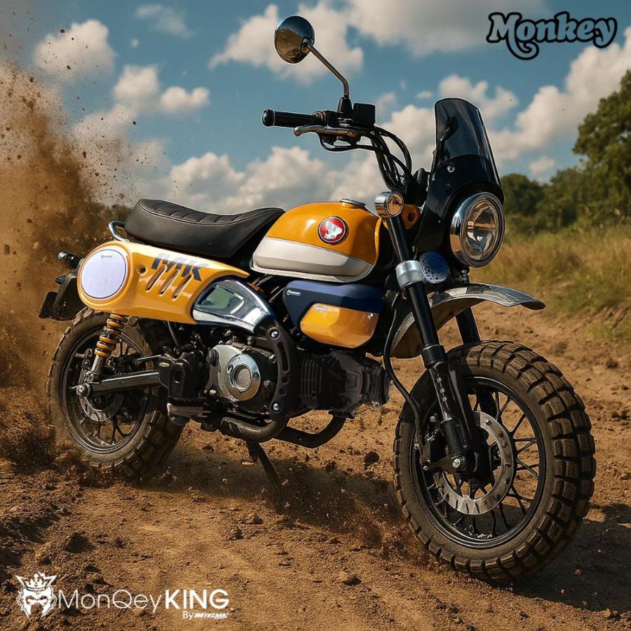モンキー ホンダ モンキー125用エアフィルターカバー / MonQeyKing Air