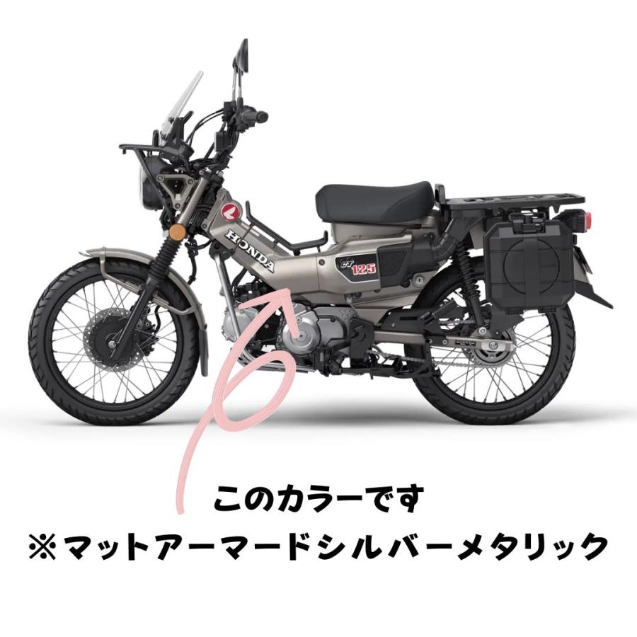 miyavi様　ホンダ 4ミニ シャリー バイザー ナンバーステー　マット塗装 N-BOX 新型 NBOX NBOXカスタム Nボックス JF5 JF6 JF3 JF4