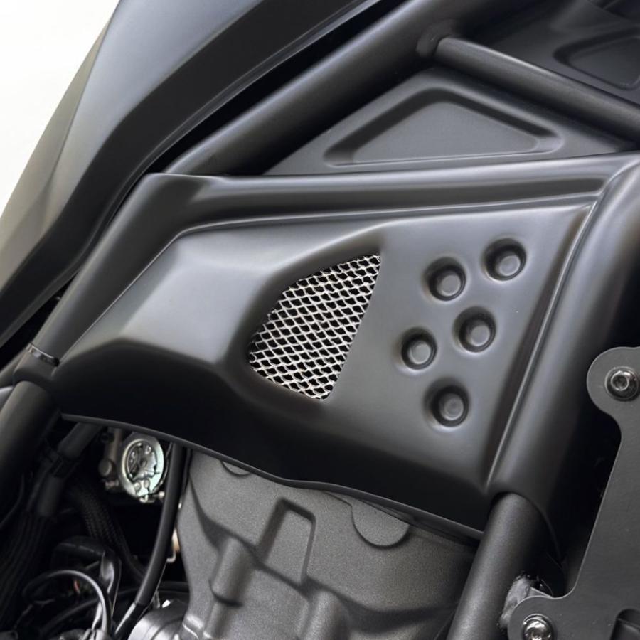 レブル RB0205 Diabolus ホンダ レブル250用エンジンサイドカバー 左右