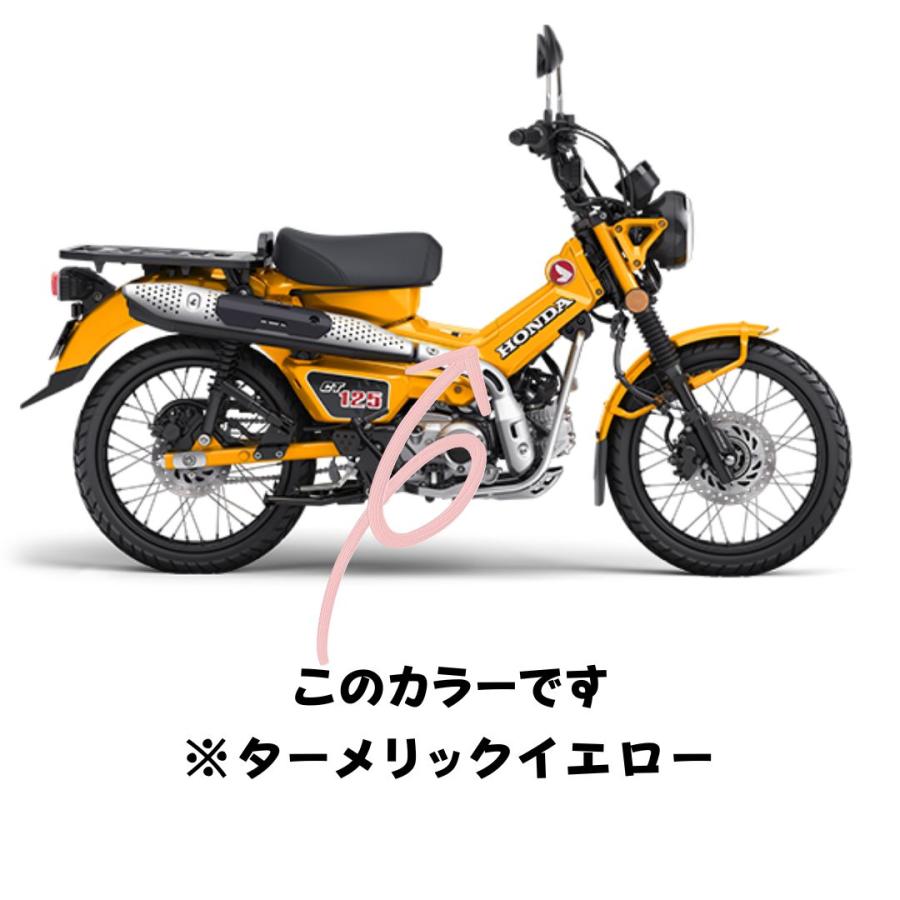 バイク用タッチアップペイント タッチペン20ml ホンダ ターメリック