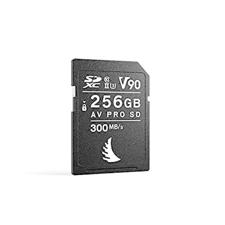 特別価格Angelbird AV PRO SD Card MK2 V90 | 256 GB好評販売中