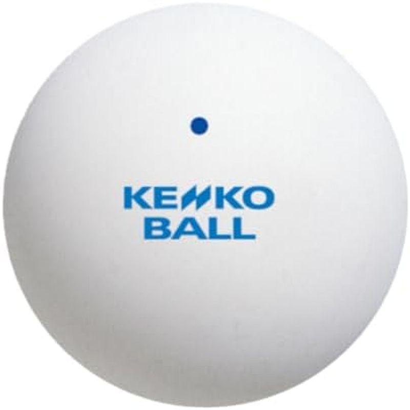 ナガセケンコー(KENKO) ソフトテニスボール かご入りセット 練習球10ダース(120個) TSSWK-V｜smaruko2｜02