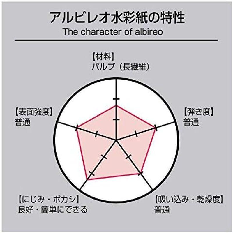 ホルベイン 用途別スケッチブック 水彩画用ブック YWC-A4 アルビレオ水彩紙 中目 151g A4サイズ 20枚綴じ 271201｜smaruko｜04