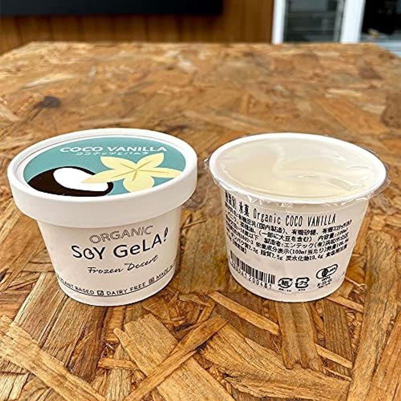 SOY GeLA ソイジェラ オーガニック 豆乳 アイスクリーム 100m 6個セット ココバニラ｜smaruko｜06