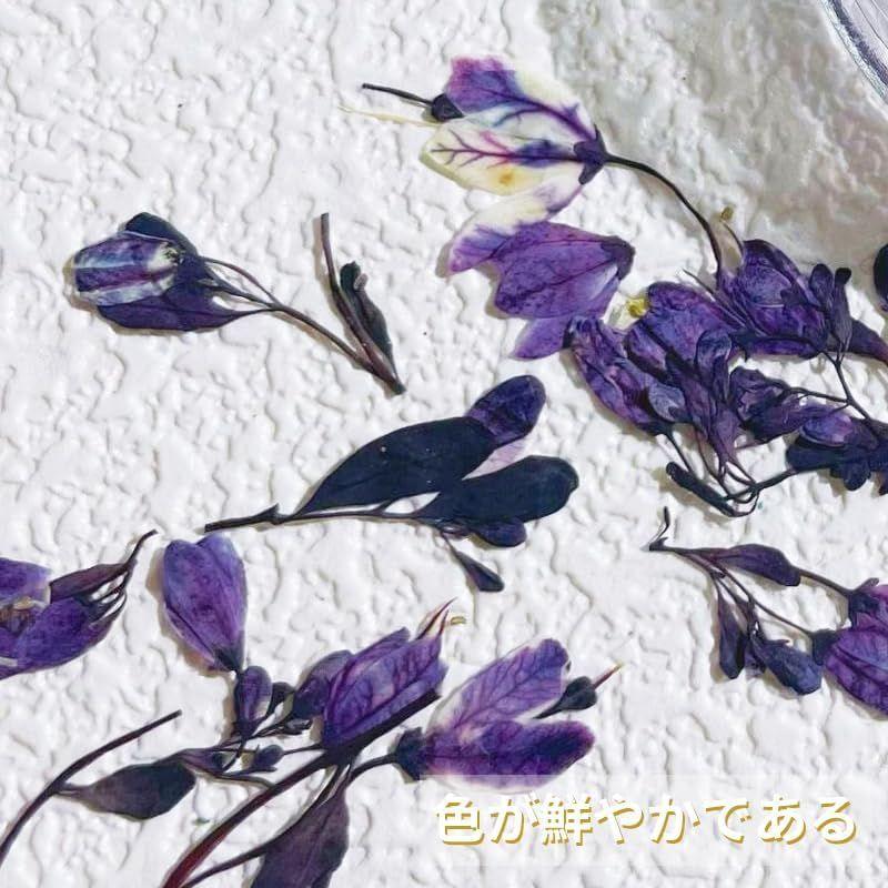 AAGWW ドライフラワー ネイルパーツ 押し花 レジン用 花 デコパーツ 工房 用品 美甲 スターフラワー(デザイン:ダークオイルペインテ｜smaruko｜17