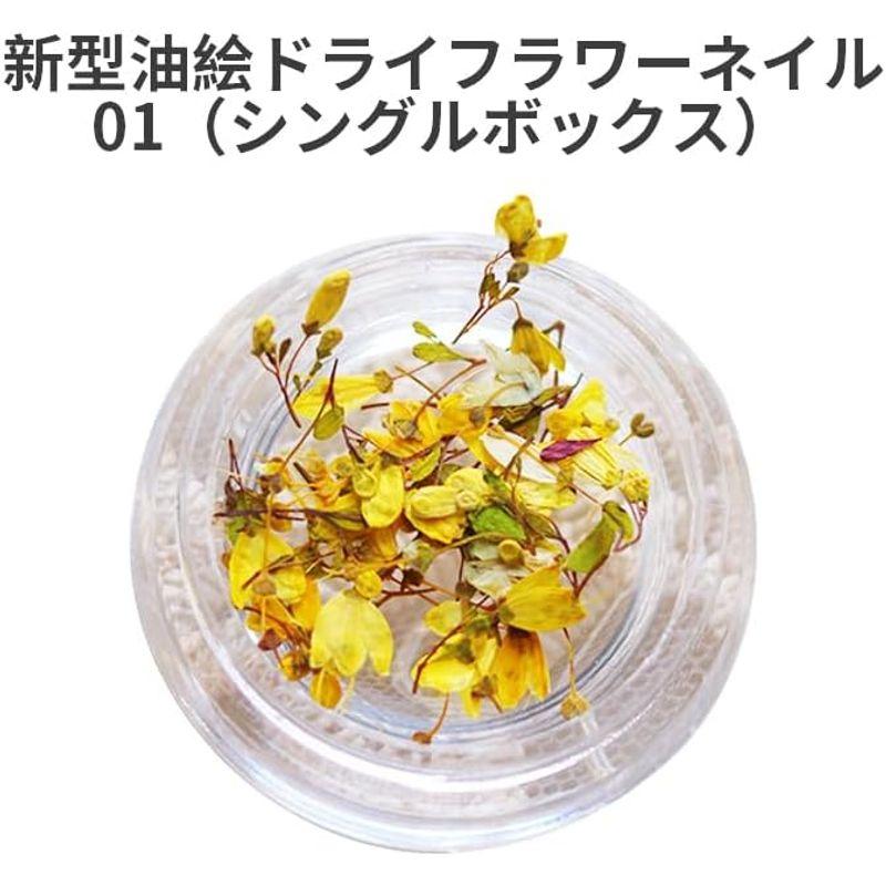 AAGWW ドライフラワー ネイルパーツ 押し花 レジン用 花 デコパーツ 工房 用品 美甲 スターフラワー(デザイン:ダークオイルペインテ｜smaruko｜05