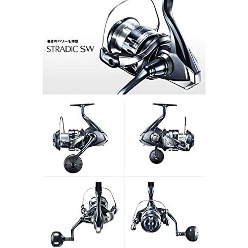 シマノ(SHIMANO) スピニングリール 20 ストラディックSW 8000PG グレー｜smaruko｜12