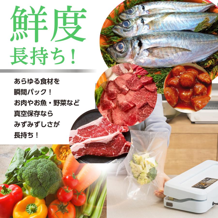 真空パック機 専用袋不要 本体 業務用 家庭用 真空パック器 フード