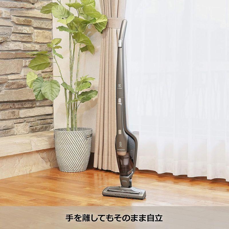 Electrolux(エレクトロラックス)エルゴラピードリチウムプラチナ コードレス掃除機 マホガニーブロンズ ZB3323PL 2019｜smatrshops｜10