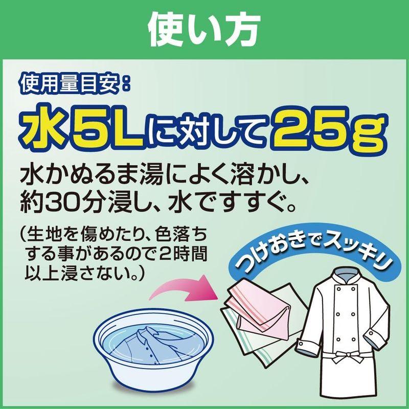 業務用 衣料用粉末酸素系漂白剤ワイドハイターEXパワー 粉末タイプ 業務用(花王プロフェッショナルシリーズ)｜smatrshops｜06