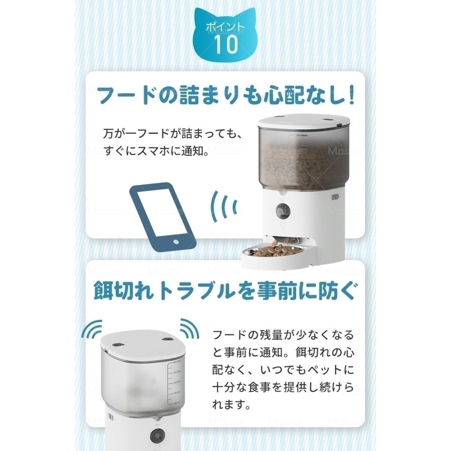 食べ姿をリプレイ！＆カメラでお皿が丸見え！】 Moizze PET002 自動