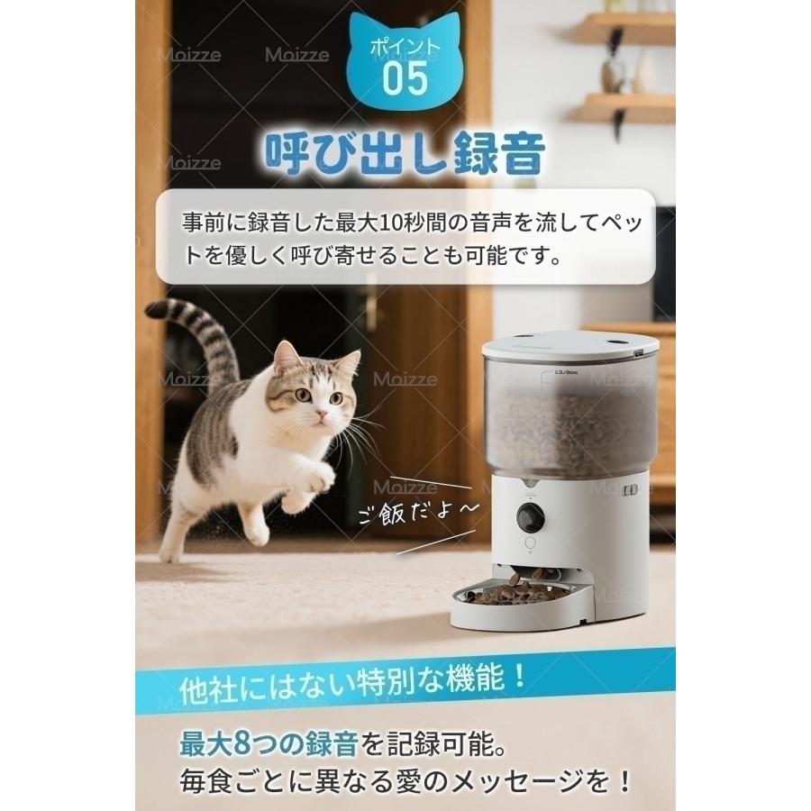 食べ姿をリプレイ！＆カメラでお皿が丸見え！】 Moizze PET002 自動