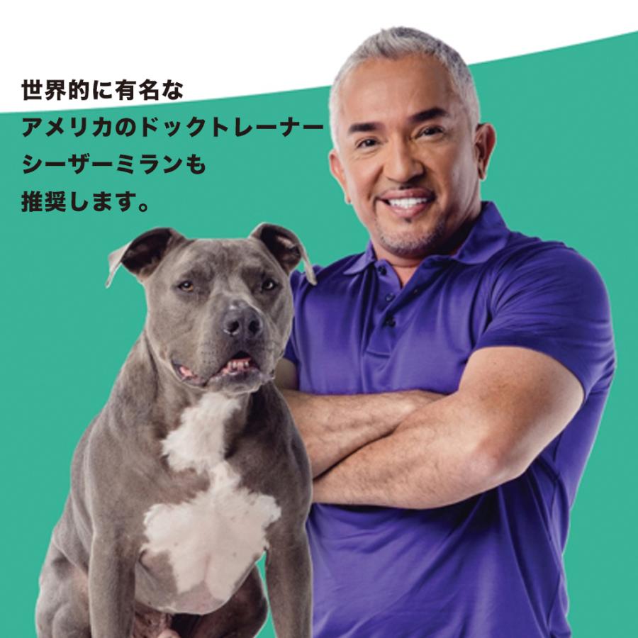 ドックドクタートレーナー