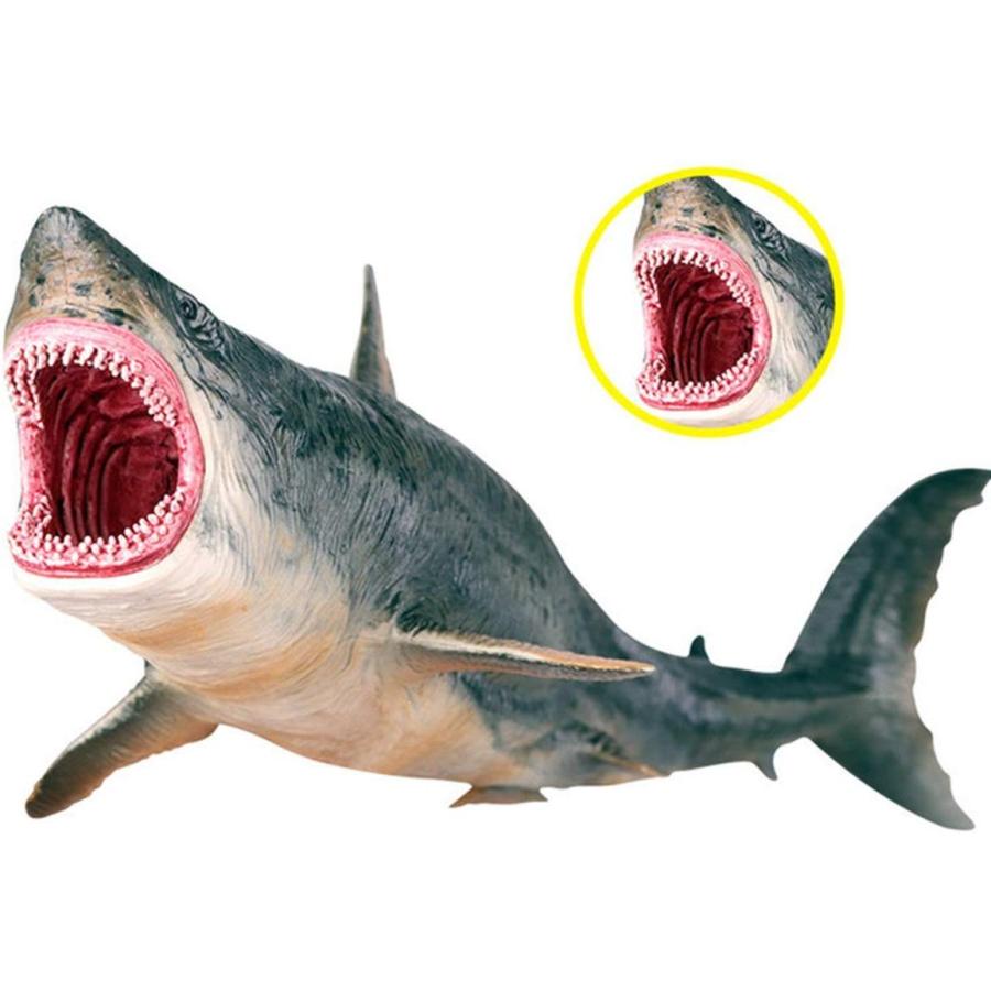 Bignick メガロドン ホホジロザメ サメ リアル 海洋動物 生物 魚類 フィギュア Pvc モデル プラモデル おもちゃ Sbx Sl2ilb Hobby Itd Smile Box 通販 Yahoo ショッピング