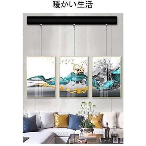 最適な価格 リッセイ ピクチャーレール ワイヤー フック 石膏ボード用 吊り金具 額縁 絵画用フック ポスター 写真 Diy 黒 天井用 2mレール 黒 格安 Www Technet 21 Org