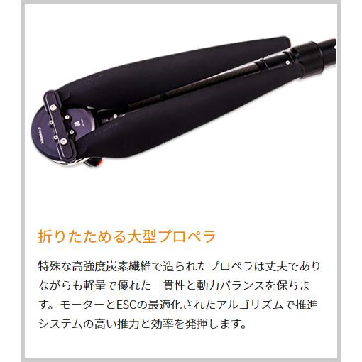 トロるさん専用 トロるさん専用（トロる さん 専用）