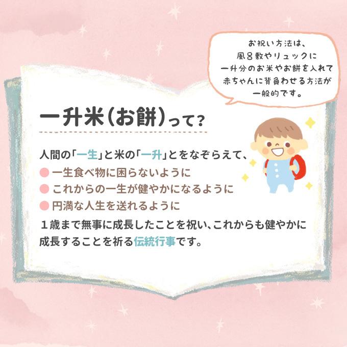 希望者のみラッピング無料 送料無料 アンパンマン のリュック付 一升米 一生米 Aynaelda Com