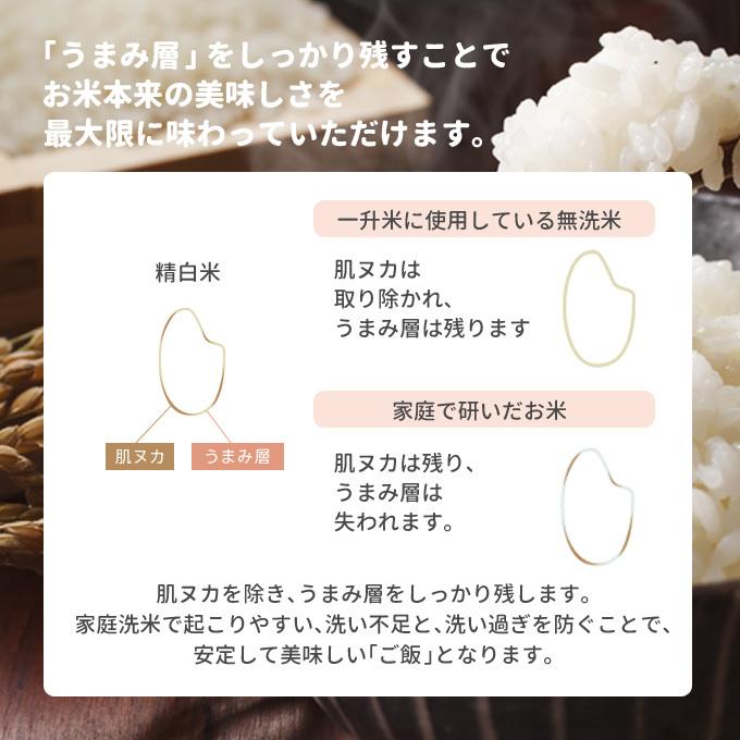 希望者のみラッピング無料 送料無料 アンパンマン のリュック付 一升米 一生米 Aynaelda Com