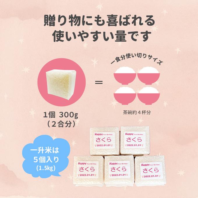 【送料無料】アンパンマン のリュック付 一升米 一生米の画像