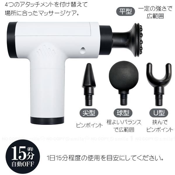 トレードワン USB充電式 電動メンテナンスガン フレッシュウェーブ