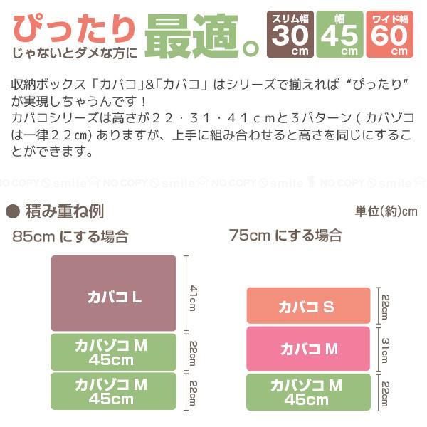 収納 引き出し /  PROFIX プロフィックス カバゾコ 45｜smile-hg｜05