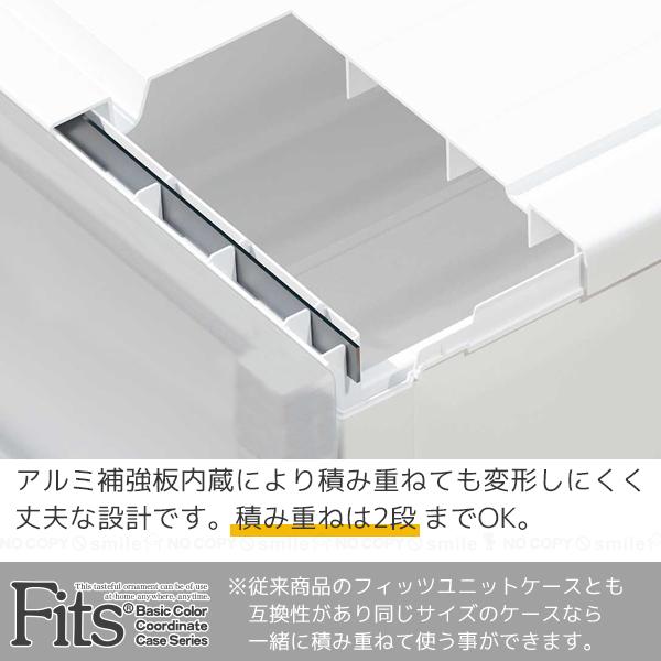 Fits フィッツケース アドバンス 押入れ 74-39L 2個組 / フィッツ 衣類