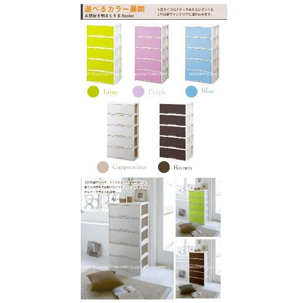 PROFIX「プロフィックス」ルームケース L-6005 「送料無料」/ 収納