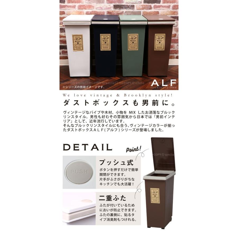 ゴミ箱 ふた付き / プッシュ式ダストボックス アルフ 45L 「送料無料