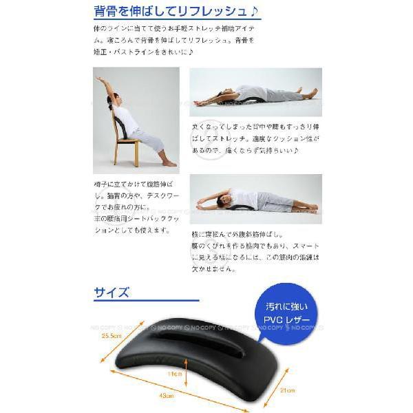 ローライ・プレート代理店用】貴重❗️ 楽天市場】アイネット 仮設雨樋 プレポリ80 10mパック 厚さ0.1