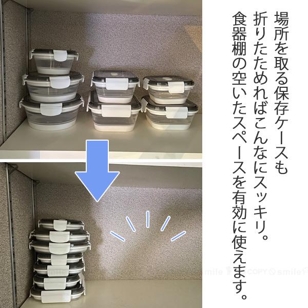 Felio たためるシリコン保存＆ランチボックス 長方形1200ml F21752