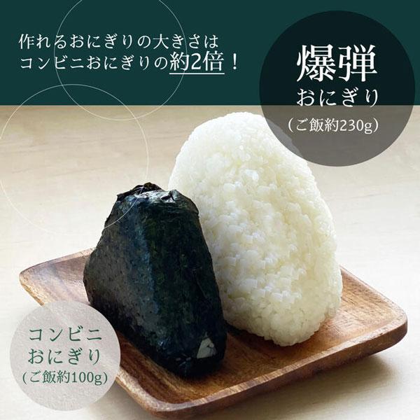 OSK（オーエスケー） おにぎりケース 290ml 「コンパクト便