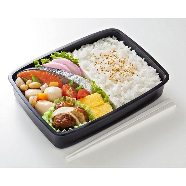 保冷バッグ付 タイトランチボックス 870ml Modern+ モダンプラス