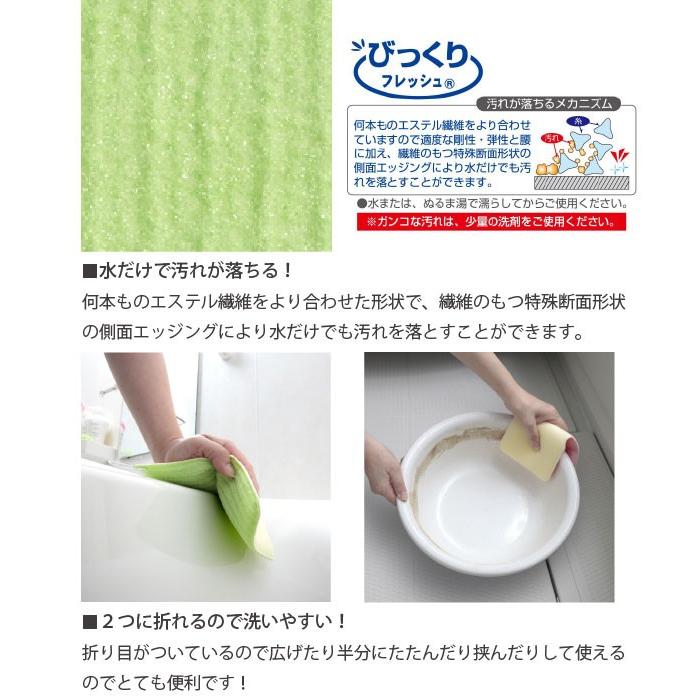 THANKO バスピカピカ / びっくりフレッシュ 選べる2枚セット メール便