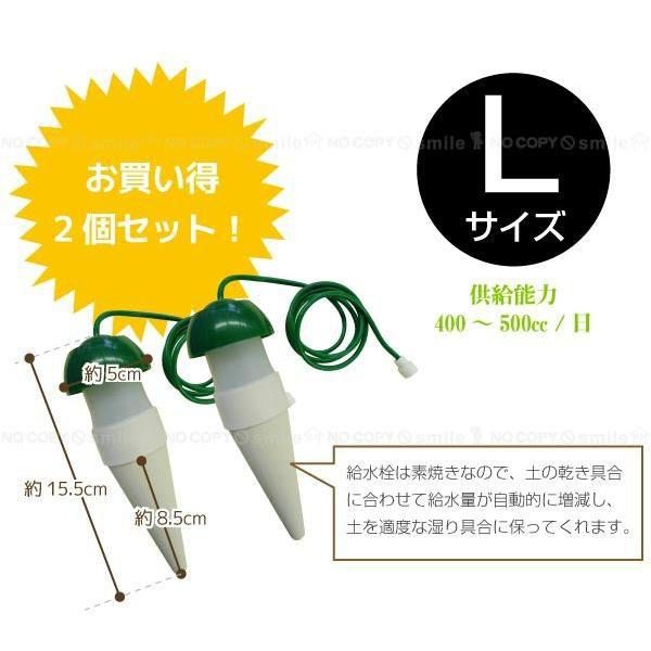 在庫処分」BIG 水やり当番L グリーン 「お買い得2個セット