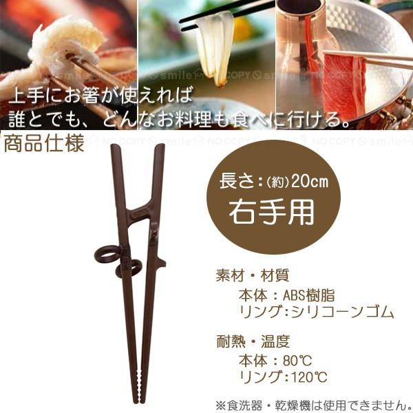 エジソンのお箸3 右手用 KJ103271 「定形外送料無料」/ ブラウン