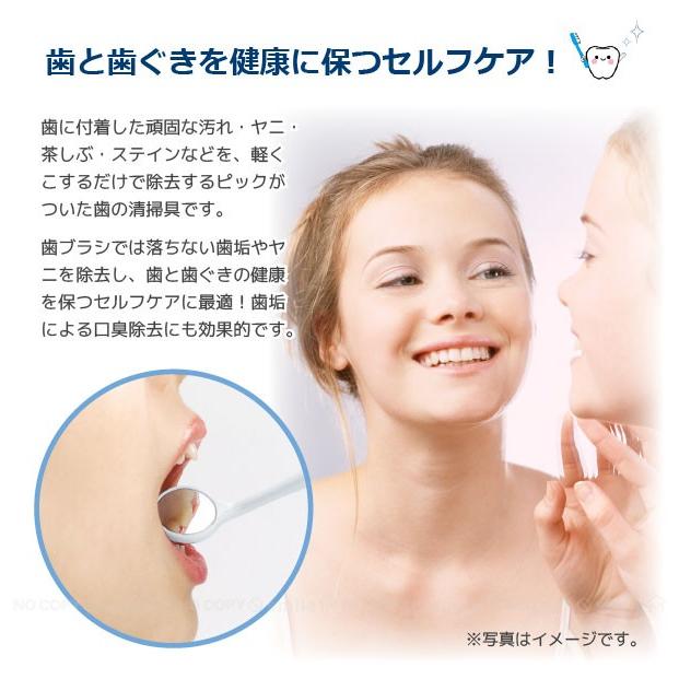 富士パックス販売 はいしゃくん 「普通郵便送料無料」/ 歯石屋くん