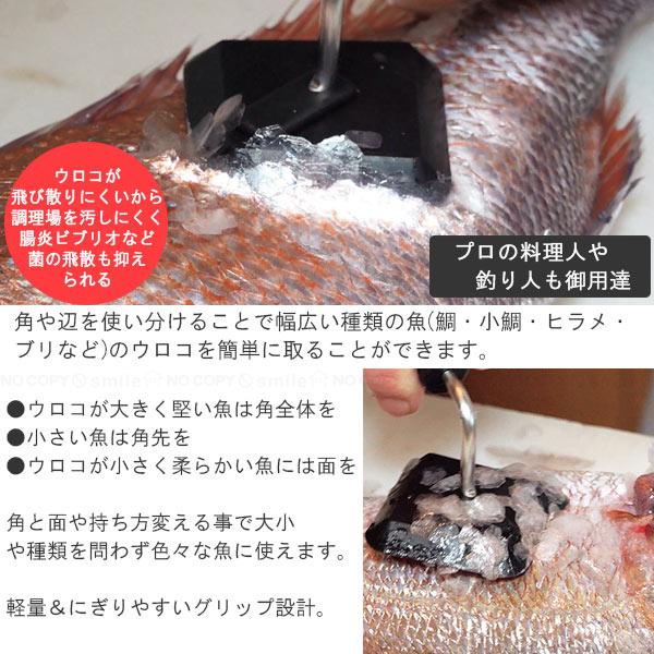 鱗トル Sサイズ PU-002 「コンパクト便」/ 鱗取り うろこ取り 魚料理 鱗 ウロコ 調理器具 下ごしらえ 飛び散りにくい 軽量 使いやすい さかな｜smile-hg｜02