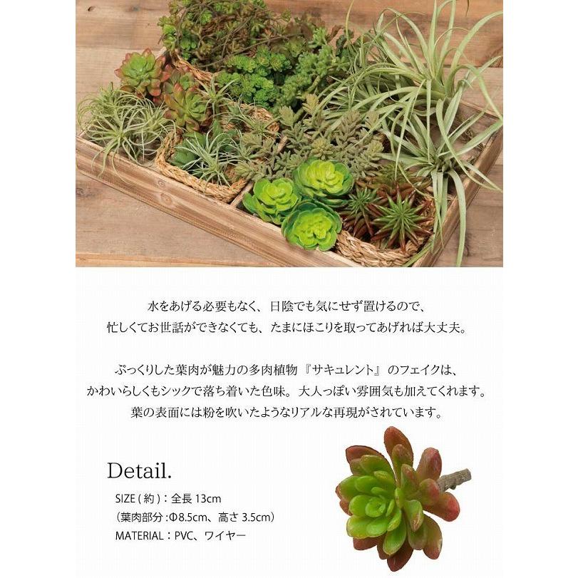 フェイク グリーン 多肉植物 サキュレント 807 Pl 住マイル 通販 Yahoo ショッピング