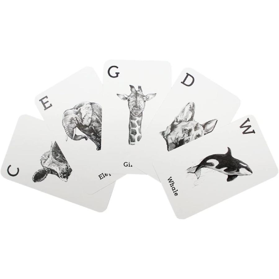Animal 4d フラッシュカードバンドル 内容 5枚の食べ物カード 6枚の動物カード スマイルlabo 通販 Yahoo ショッピング
