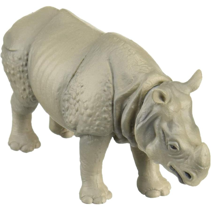 アニア As 18 インドサイ Awaji Ya 通販 Yahoo ショッピング