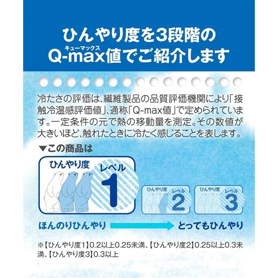 吸汗速乾メッシュでさらり 冷感１０分丈レギンス2枚組 Uvカット 肌着 インナー 30代 40代 50代 夏 春 秋 女性 大きいサイズ レディース セット組 Zzy4ic0105 Smileland Yahoo 店 通販 Yahoo ショッピング