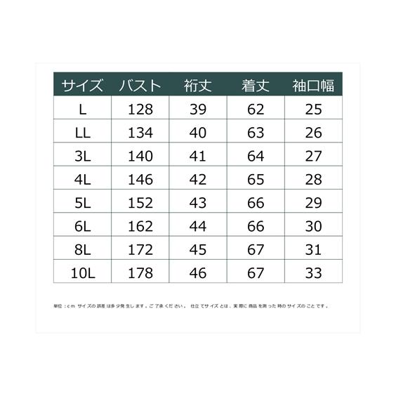 トップス 大きいサイズ　コットンレースプルオーバー　miclat｜smile-land-by-nissen｜19