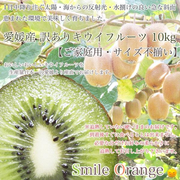 【送料無料】愛媛産 訳あり キウイフルーツ10kg 産地直送 キウイ 国産 kiwi 果物 フルーツ ご家庭用 サイズ不揃い【※送料無料は一部地域を除く】｜smile-orange