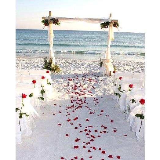 送料無料 フラワーシャワー バラ の 花びら 白 ホワイト 900枚 セット