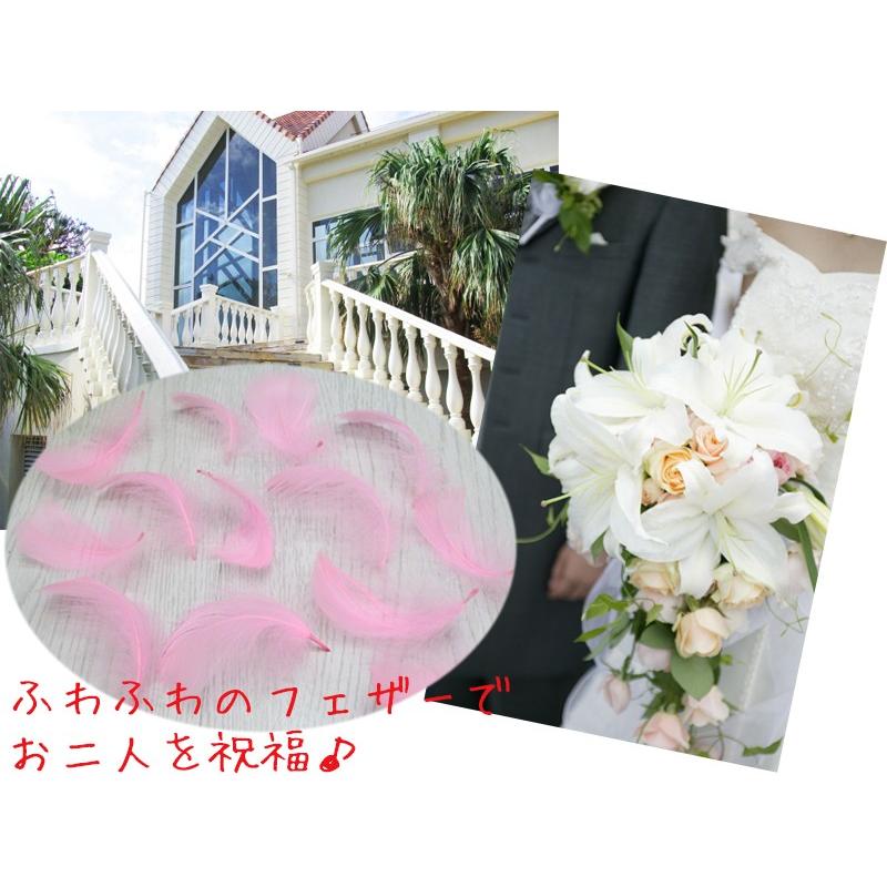 送料無料 羽 シャワー 約200枚入り 全4色 / 羽根 フェザー ホビー 素材