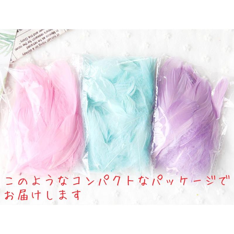フェザーシャワー 送料無料 羽 シャワー 約200枚入り 全4色 / 羽根 フェザー ホビー 素材