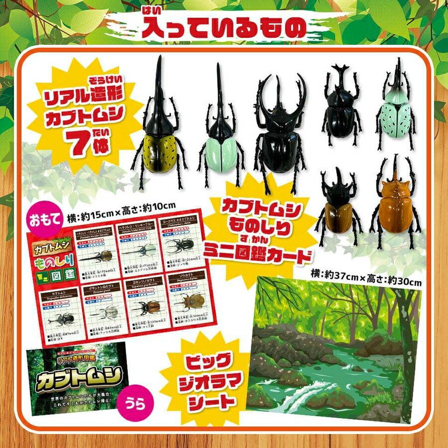 図鑑 造形図鑑 カブトムシ リアル造形図鑑 フィギュア 知育 玩具 子供