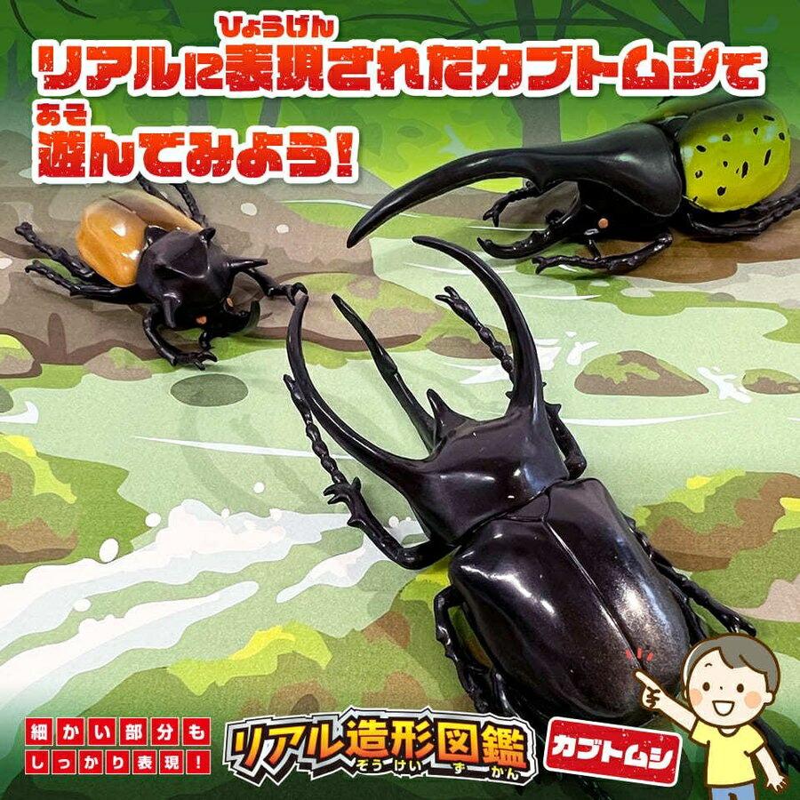 図鑑 造形図鑑 カブトムシ リアル造形図鑑 フィギュア 知育 玩具 子供