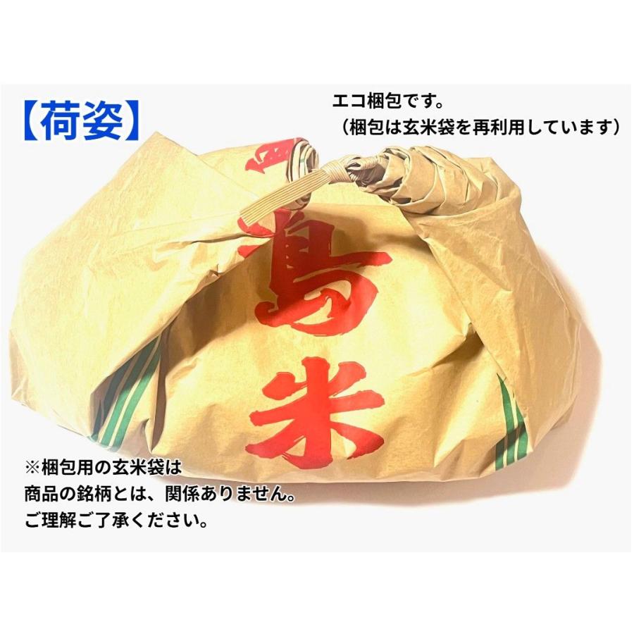 【白米】【精米】岡山県新見産こしひかり 10kg(5kgx2袋) 新米】【白米】【精米】岡山県新見市産こしひかり 10kg (5kgx2袋) 令